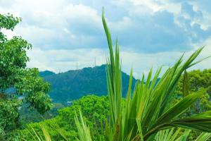 Mountain View Villa Kurunegala