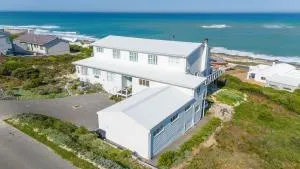 Driftwood - 阿古拉斯