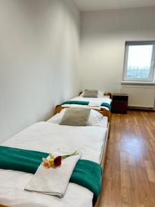 Pokoje Astra - Energylandia