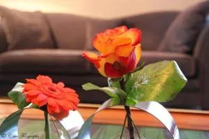 Hôtel Majestic - Adé