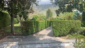 Family Beach Swimming Pool Villa Luanit