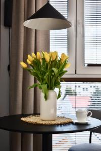 IGIS Apartament z tarasem na dachu