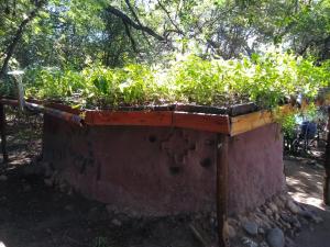 Hostel Eco Cultural GIRAMUNDO