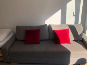 Apartamentos surfing San Vicente II