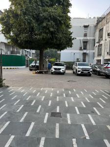 Pearl of Nature By Nyra