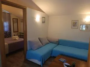 Maxim Wooden with pool - Kornáta