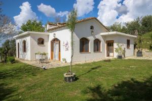 Bujtina Ethan Perondi