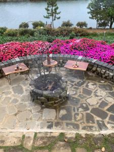 kamely hill bảo lộc