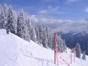 Haus Auni Metzgermeister