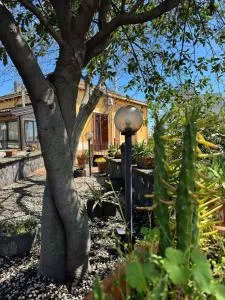 Zest House - 圣韦内里纳