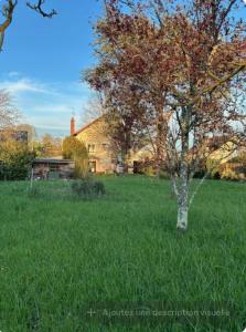 La Grande Caravelle - 140 m carré sur jardin