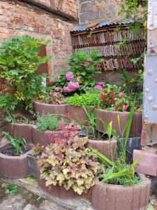 Appartements Quiet apartment in historic village : photos des chambres