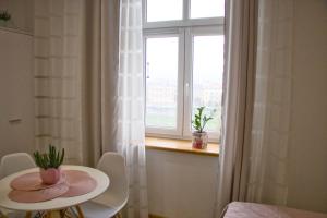 Studio z widokiem na rzekę