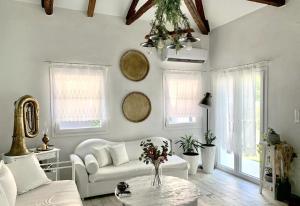 1922 Epoch Harmony Oikia