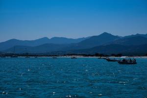 Eliana Yacht & Golf Puntaldia