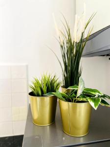 Beautiful Apartment In Hackney