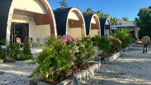 Hotel Villa Beach Transit 2 & Whaleshark Tour