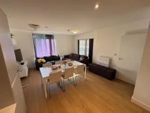 Spacious 3 bed in Colindale - Colindale