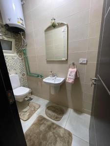 Comfortable new furnished apartment, new cairo