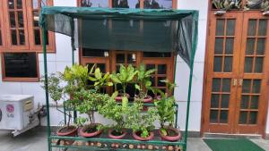 Sunlit Stays - The Luke