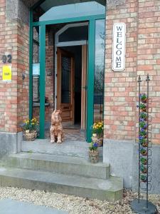 ' t Geel Huizeken - B&B - koffiehuis