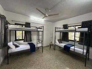 Tripvana Backpacker Hostel