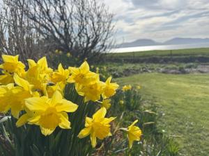 Withi-Gill - Cottage - Bay of Ireland Views