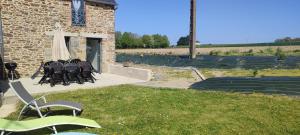 Maisons de vacances So'Home : photos des chambres