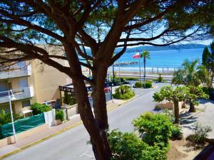 Appartements Studio cosy a 50m de la plage avec parking prive - Cavalaire-sur-Mer - FR-1-226B-37 : photos des chambres