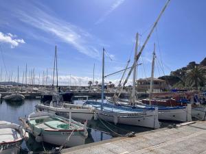 Appartements Studio cosy a 50m de la plage avec parking prive - Cavalaire-sur-Mer - FR-1-226B-37 : photos des chambres