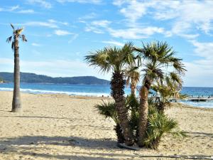 Appartements Studio cosy a 50m de la plage avec parking prive - Cavalaire-sur-Mer - FR-1-226B-37 : photos des chambres