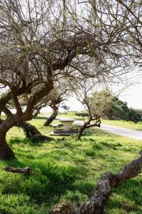 Maisons de vacances Villa Anahita : photos des chambres