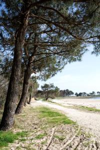 Maisons de vacances Villa Anahita : photos des chambres