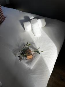 Villas Villavos- La Vassal : photos des chambres