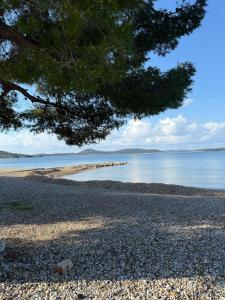 VODICE KRAJE APARTMENTS