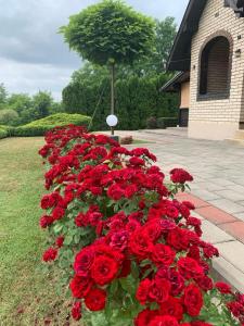 Seosko turističko domaćinstvo Jolović GUČA Veles