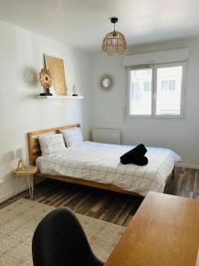 Appartements Appartement Le Renard - F2 parking calme : photos des chambres
