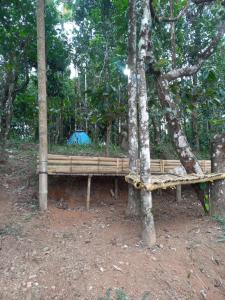 Pepper Mist Wayanad Homestay