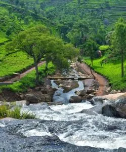 Kay's Tea Estate Bungalow with Waterfall View - Kotagiri