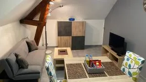 Magnifique T2 Cosy refait à neuf - 弗勒里莱欧布赖