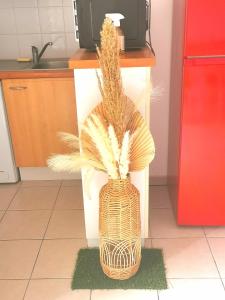 Appartements Escale marine : photos des chambres