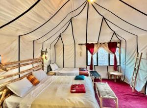 Excellent Luxury Camp