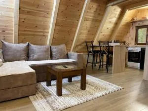 Vila Djordje Žabljak - Vrela