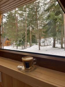 Vila Djordje Žabljak