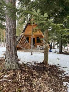 Vila Djordje Žabljak