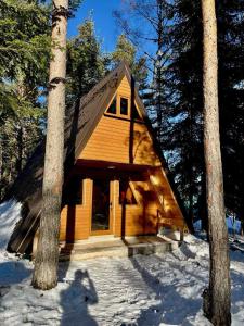 Vila Djordje Žabljak