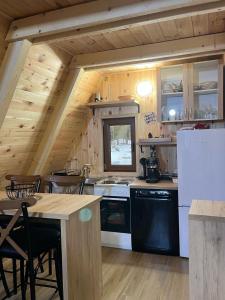 Vila Djordje Žabljak