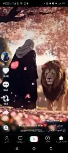 آلبدر - 阿尔卡吉