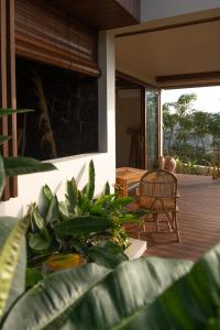 Jaringan Kuta Lombok