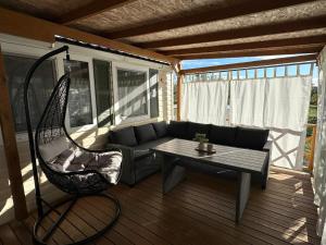 Mobile Home Olive Tree